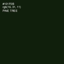 #101F0B - Pine Tree Color Image
